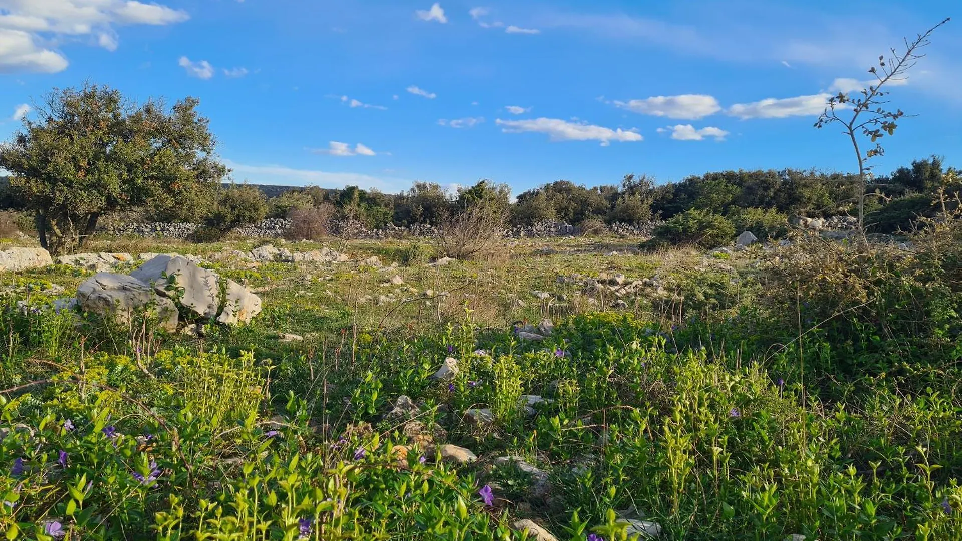 Apartment Rubus - Stivan, Cres - 900 M To Merascica Beach Croatia